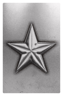 DF35T 430 SL Star Silver